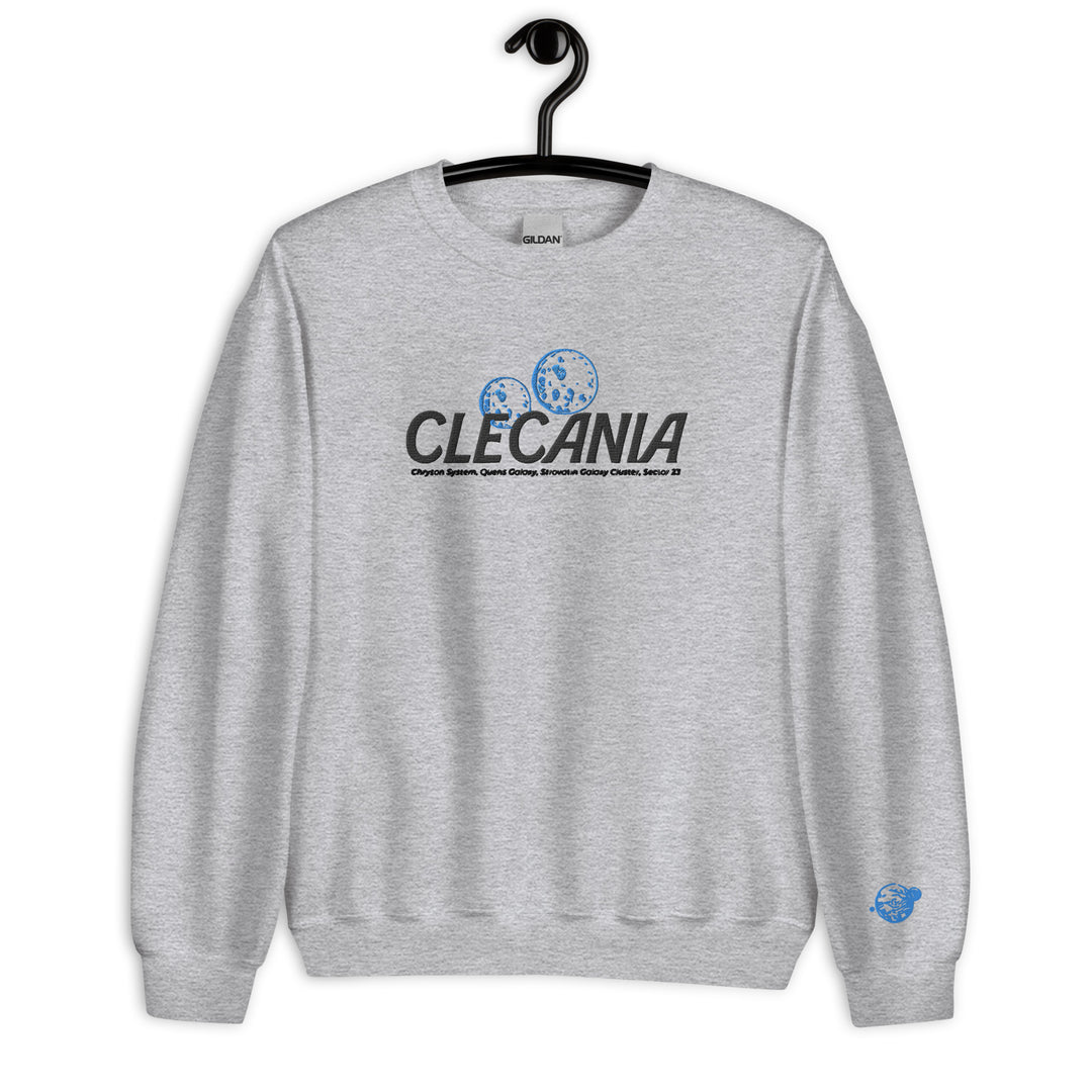 Clecania Embroidered Sweater